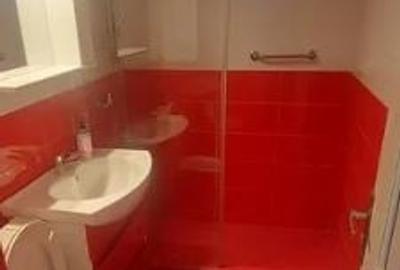 Apartament cu 2 camere semidecomandat, mobilat în Dristor - 4