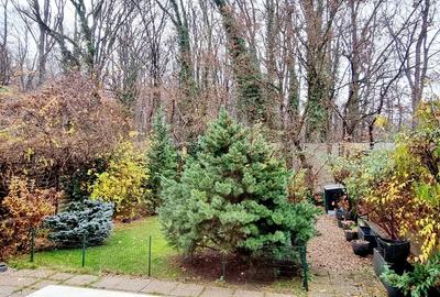 Vila P+1, Sector 1, Bucuresti - 5