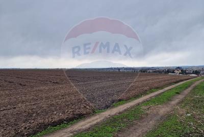 Teren 10,000mp Bacau / Strada Alexandru Safran - 14