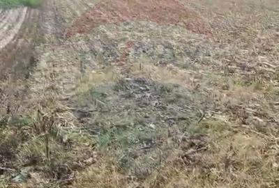 Teren de 1000 mp, în Nord - 3