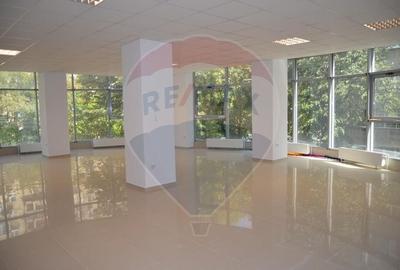 Spatiu Comercial de Inchiriat Lujerului - 4