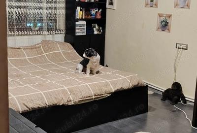 Apartament 2 camere parter - 5