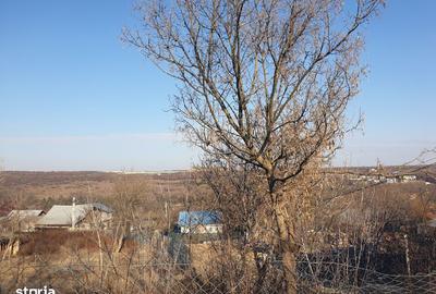 Teren de 1000 mp, în Copou