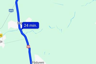 Casa cu teren 2877.mp la 27 km de Timi?oara - 4