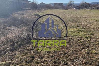 Spațiu comercial, în Cetate