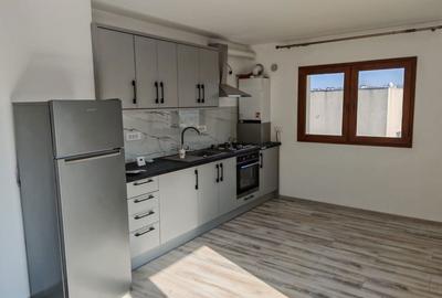 Casă cu 2 camere în Vișan - 7