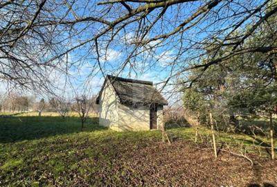 Teren de 2366 mp, în Bercu Roșu - 3