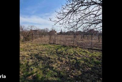 Casă cu 3 camere cu Teren 4041 Mp în Roșiori - 4