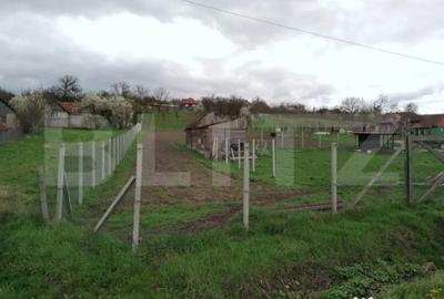 Teren de 3000 mp, în Călărași - 6