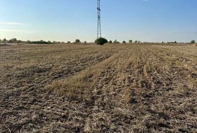 Teren de 5000 mp, în Ciorogârla