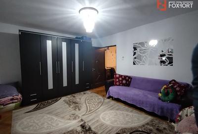 Apartament cu 2 camere semidecomandat, mobilat în Șagului - 10