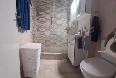 APARTAMENT 3 CAMERE DECOMANDAT - VLAHUTA - 13