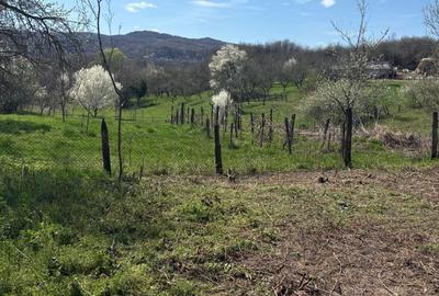 Teren de 376 mp, în Exterior Vest - 3