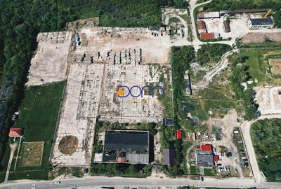 Teren Construcții intravilan de 34000 mp, în Exterior Vest - 6