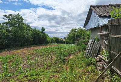 Casă cu 3 camere în Tanacu - 5