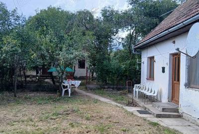 Vand casa compusa din 2 imobile, cu teren la ?ara in sat Abu? jud. Mure? - 7