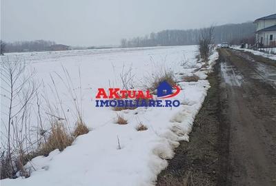 Spațiu comercial, în Domnești