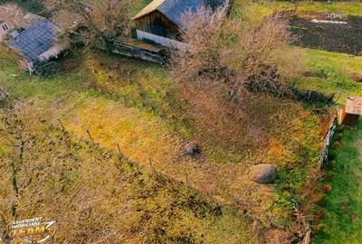 FILM! Gospodarie cu atmosfera traditionala,1.032 mp de verde si gradinarit, Sanz - 6