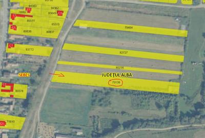 Teren 5.800 mp Petrești (Sebeș) – casă / investiție / închiriere - 1