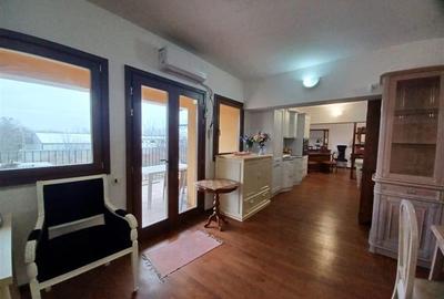 Hala cu showroom, productie mobila,  Balotesti - Therme - 19