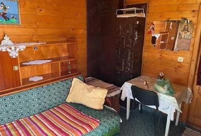 Casă cu 5 camere cu Teren 3800 Mp în Gura Teghii - 3