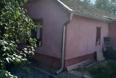 Vind Casa in Serbia 10 km de grani?a cu Jimbolia