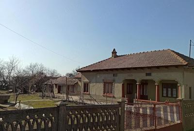 Casă cu Teren 815 Mp în Conțești - 2