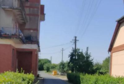 Teren de 2800 mp, în Lovrin - 17