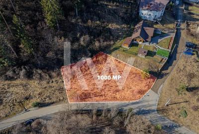 Teren Construcții intravilan de 1000 mp, în Central - 1