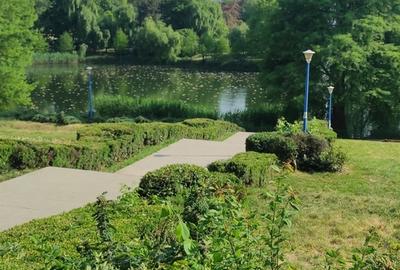 Tei, Parcul Circului - 4