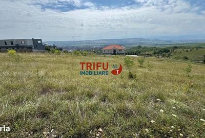 Spațiu comercial, în Cetate