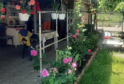 Casă cu 3 camere în Bretea Mureșană - 1