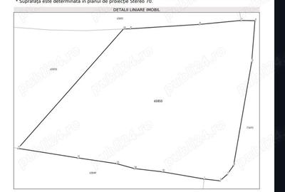 Casă cu 4 camere cu Teren 2650 Mp în Țârdenii Mari - 1