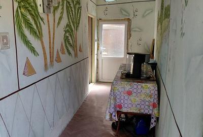 Casă cu 4 camere cu Teren 4327 Mp în Bârzava - 3
