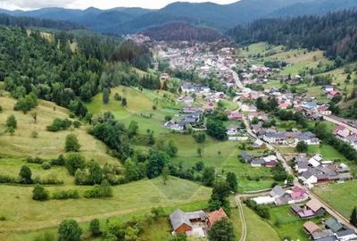 Teren de 6865 mp, în Voroneț - 7