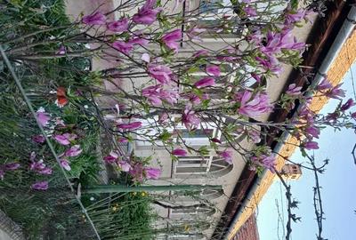 Casă cu 6 camere în Hitiaș - 7