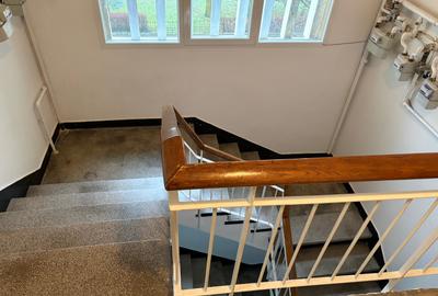 Primaverii, Beller, vanzare apartament 3 camere, 63 mp totali, imobil reabilitat - 10