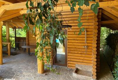 Casă cu 6 camere cu Teren 17000 Mp în Dumbrăvița - 7