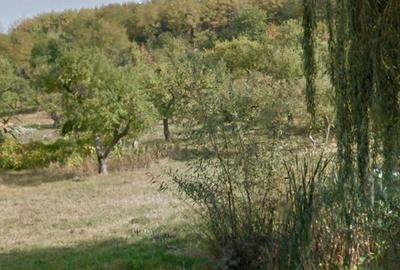 Teren de 2100 mp, în Fălticeni - 7