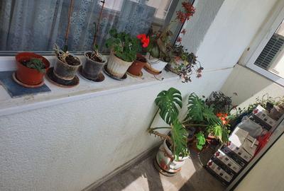 Apartament cu 5 camere decomandat în Dorobanți - 6