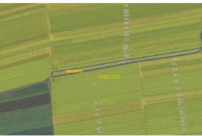 Teren de 6390 mp, în Cernătești - 8