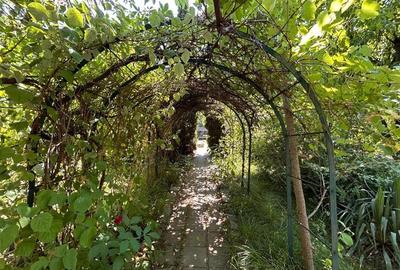 Casa versatila, cu potential real de investitie Sacele - 18