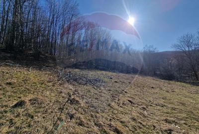 Teren Construcții intravilan de 4985 mp, în Sascut - 5