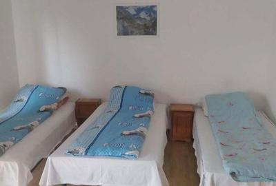 Casă cu 2 camere în Vladimirescu - 1