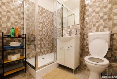 Apartament cu 2 camere semidecomandat, mobilat în Ultracentral - 17