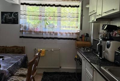 Apartament cu 2 camere decomandat în Brazda lui Novac - 7