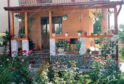 Casă cu 5 camere cu Teren 576 Mp în Roman - 2