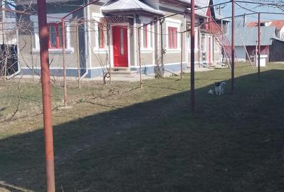 Casă cu 3 camere cu Teren 950 Mp în Teiș - 2