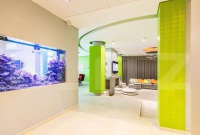 Casă cu 8 camere cu Teren 2300 Mp în Lunei - 11