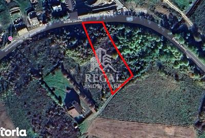 Teren de 770 mp, în Teliucu Inferior - 1